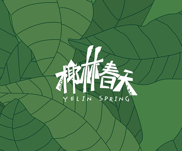 揭陽品牌VI設計團隊_提供一站式服務