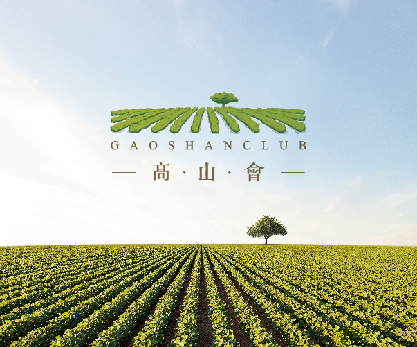 牙刷品牌VI設(shè)計(jì)_提升品質(zhì)引領(lǐng)潮流