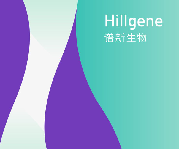 杭州vi設(shè)計(jì)公司_提供專業(yè)的vi設(shè)計(jì)服務(wù)